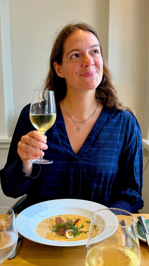 UGC video still for Hotel Birksø